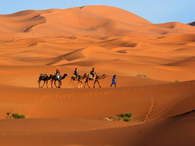 Camel caravan trekking in the Sahara desert