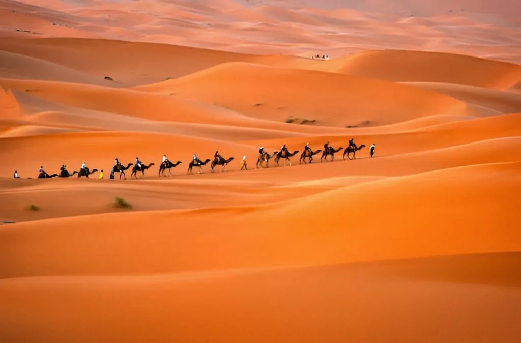 camel ride in merzouga desert