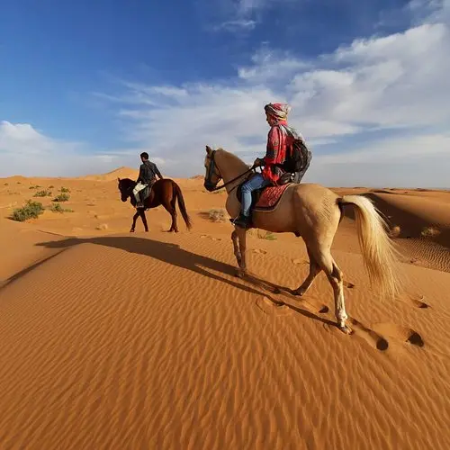Merzouga Horse Riding