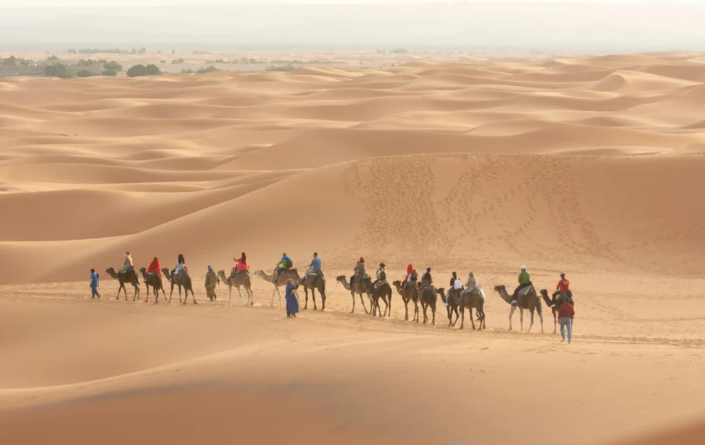 Morocco itineraries featuring a silhouette of a camel caravan trekking over the rolling orange sand dunes of Merzouga with a mountain plateau in the distance.