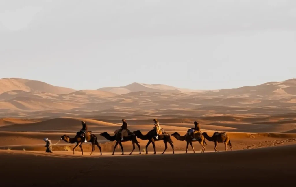 A line of travelers riding camels in a caravan led by a guide across golden sand dunes in the Moroccan Sahara Desert under a clear sky.