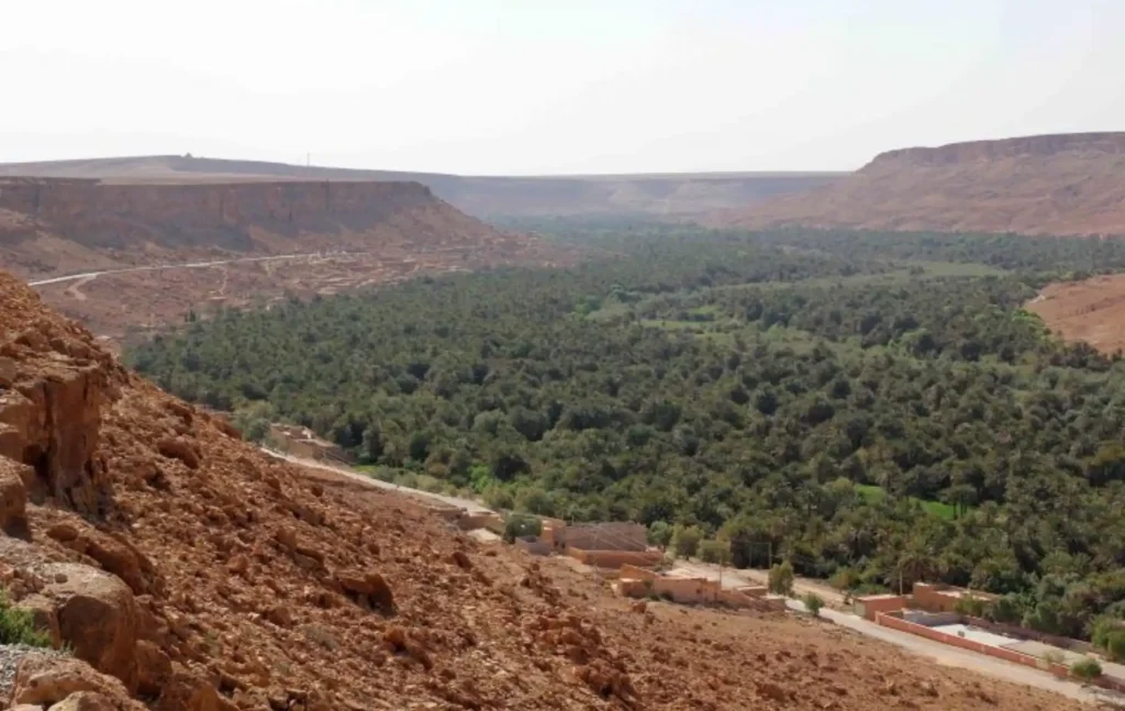 A high-angle view of the lush, green Ziz Valley palm grove surrounded by red desert mountains, a scenic highlight of a 10 days Morocco itinerary.