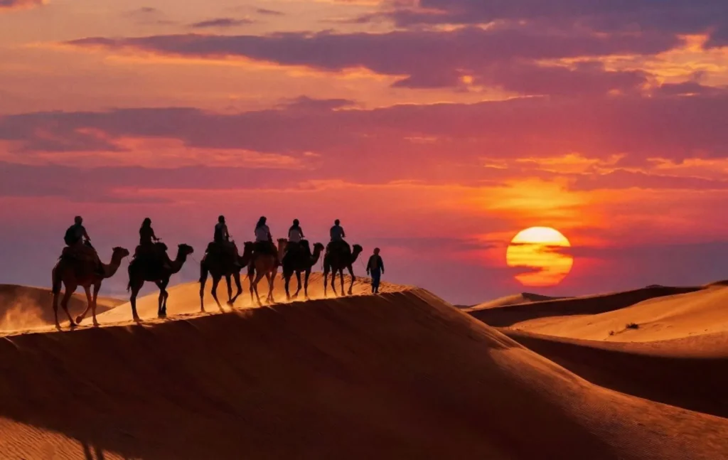 A long caravan of travelers enjoying a camel ride in Merzouga desert across the rolling golden dunes of Erg Chebbi.