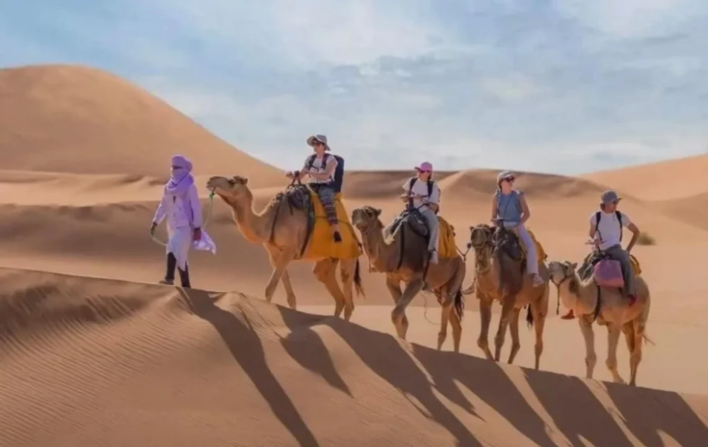 A professional local guide leading a group of tourists on a Merzouga camel trekking tour across the high dunes with To Marrakech Desert Tours.