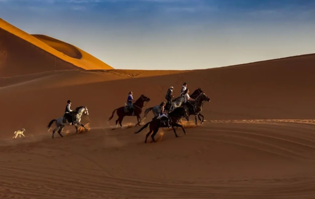 A group of riders enjoying a Merzouga horse riding excursion across the vast sand dunes.