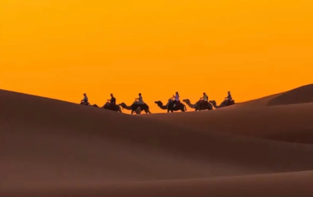 * A silhouette of a camel caravan during a 4 days tour from Marrakech to Merzouga, trekking across the golden sand dunes under a bright orange sunset sky.