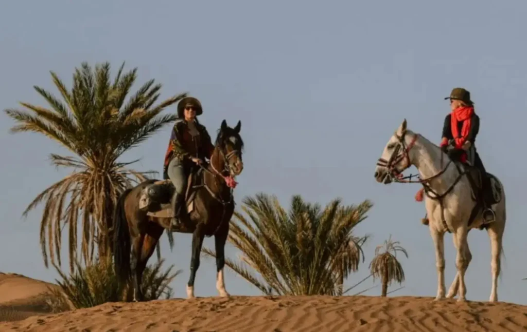 Travelers enjoying Merzouga horse riding on dunes with Merzouga desert tours.