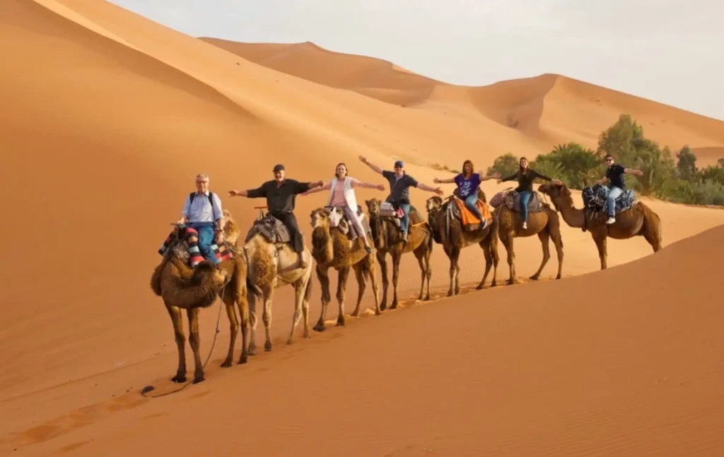 A group of tourists with arms outstretched riding camels across the Merzouga dunes on a fes to marrakech desert tour 2 days.