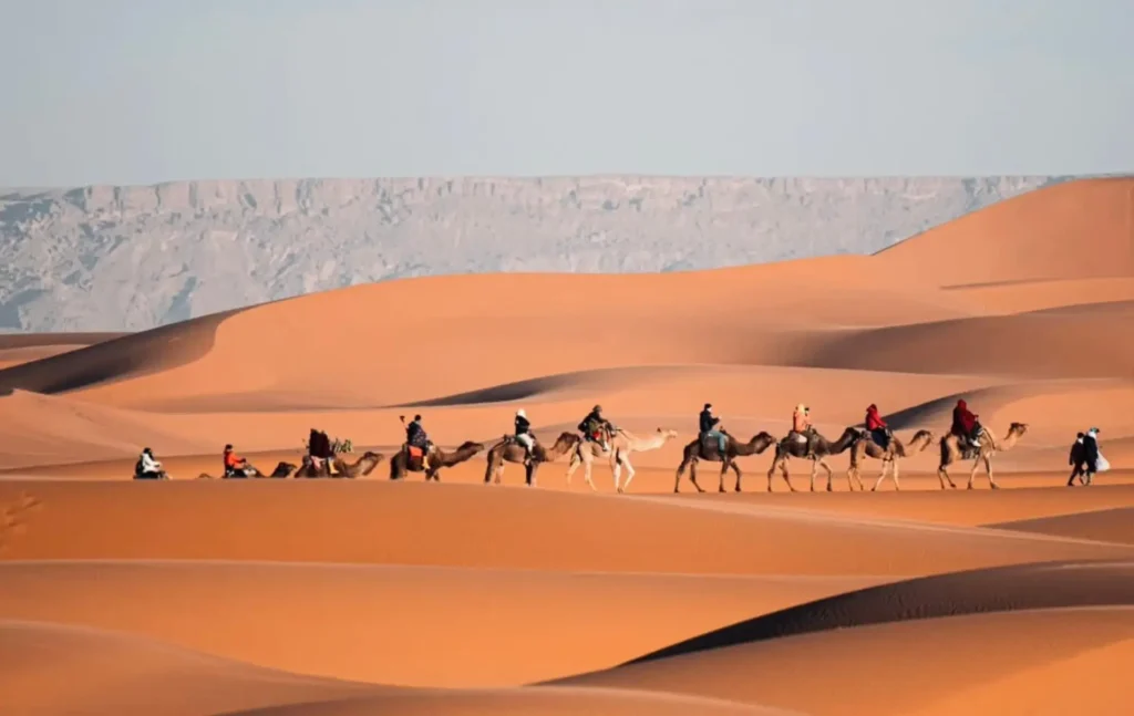 A line of tourists riding camels across the orange sand dunes during a 4 days tour from Fes to Marrakech.