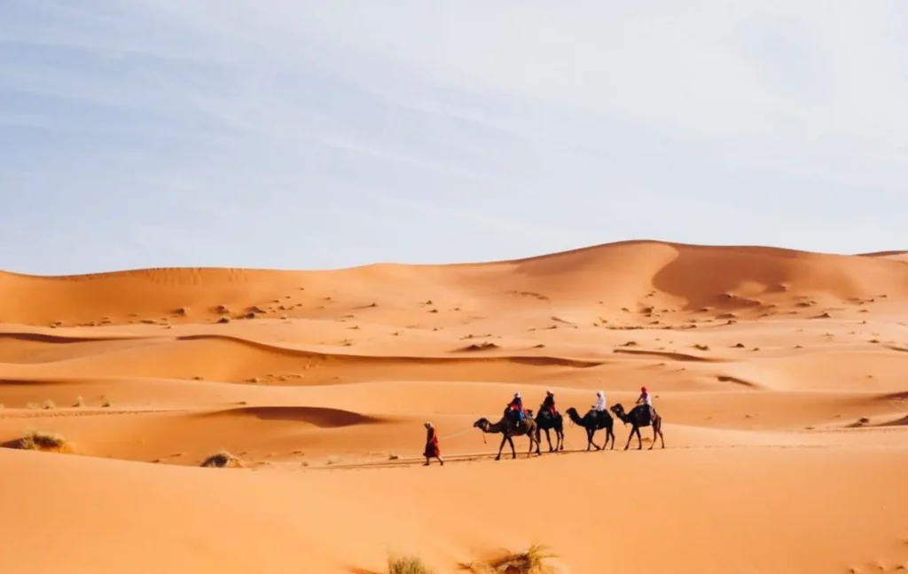A line of travelers on a camel caravan led by a guide across the orange sand dunes during a 2 days desert tour from fes. of fes desert tours.