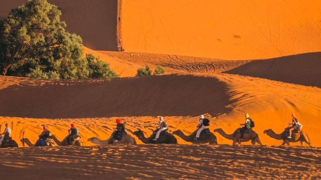 A caravan of travelers riding camels across high golden sand dunes during Casablanca desert tours, a signature highlight for any morocco itinerary.