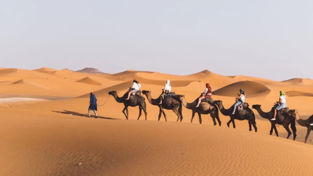 Best way to travel from Portugal to Morocco flying direct to take a Sahara desert camel caravan tour in Merzouga