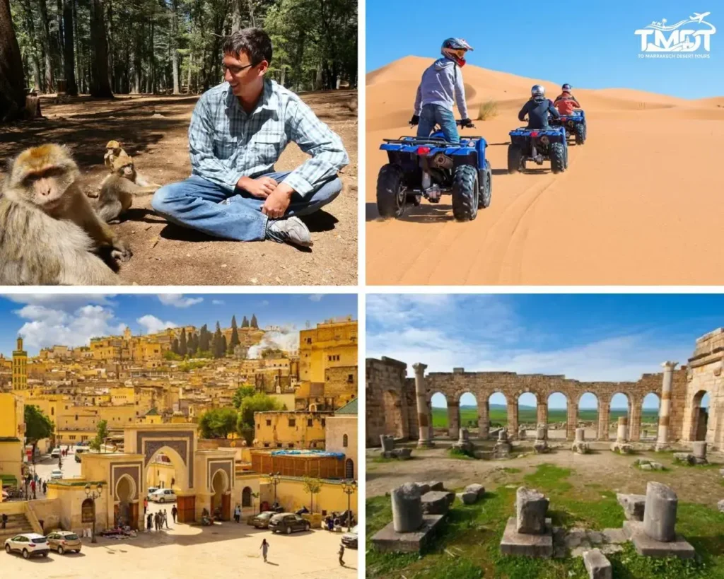 A four-panel travel collage showing a traveler with Barbary macaques in a cedar forest, quad biking in the Sahara Desert, a historic medina gateway, and the ancient Roman ruins of Volubilis, illustrating a 7 days tour from Tangier to Marrakech.