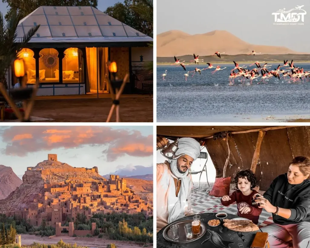 A four-panel travel collage showcasing a luxury desert camp tent lit up at night, a flock of pink flamingos flying over a scenic lake, a panoramic sunset view of the ancient earthen Ait Benhaddou kasbah, and a local guide pouring traditional mint tea for a family inside a nomad tent, illustrating a 10 days Morocco tour from Marrakech.