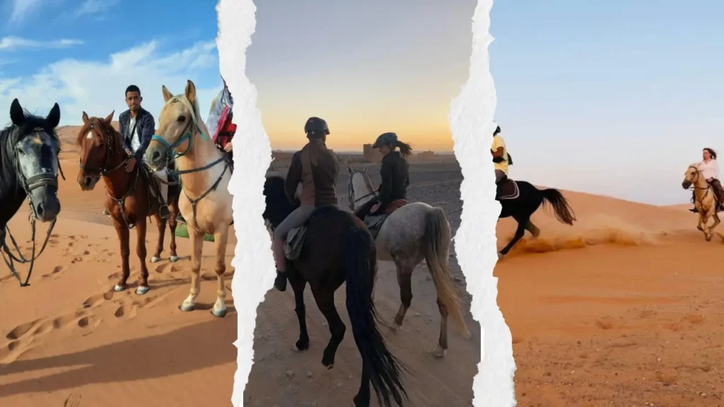 1 night in Merzouga desert tour booking an equestrian horse riding trek through the Erg Chebbi sand dunes with To Marrakech Desert Tours