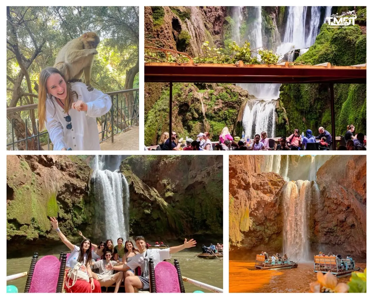 A four-panel travel collage showcasing structural highlights, featuring a smiling traveler with a wild Barbary macaque monkey perched on her shoulders, a shaded riverside dining terrace overlooking a multi-tiered cascade, a group of young tourists posing excitedly on a small boat, and small passenger rafts navigating the river basin directly in front of the massive rushing waterfall, highlighting a day trip from Marrakech to Ouzoud Waterfalls.