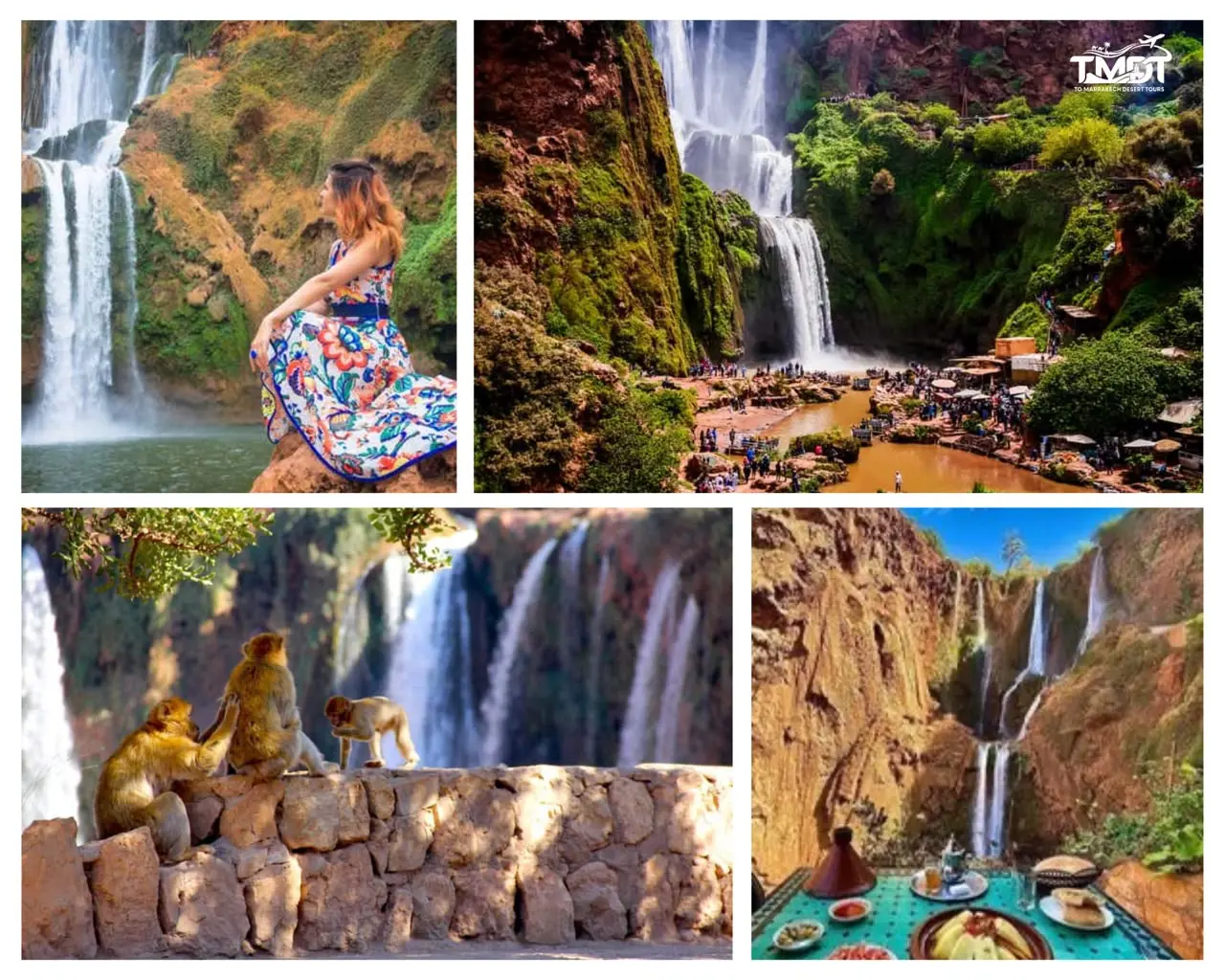 A four-panel travel collage showcasing structural highlights, featuring a woman in a colorful floral dress sitting on a rock overlooking a roaring cascade, a sweeping high-angle view of tourists gathering at the base of the multi-tiered Ouzoud Waterfalls, a group of wild Barbary macaque monkeys resting on a stone wall in front of the flowing falls, and a traditional Moroccan tagine lunch set up on a table overlooking the massive canyon and waterfall, highlighting a day trip from Marrakech to Ouzoud Waterfalls.