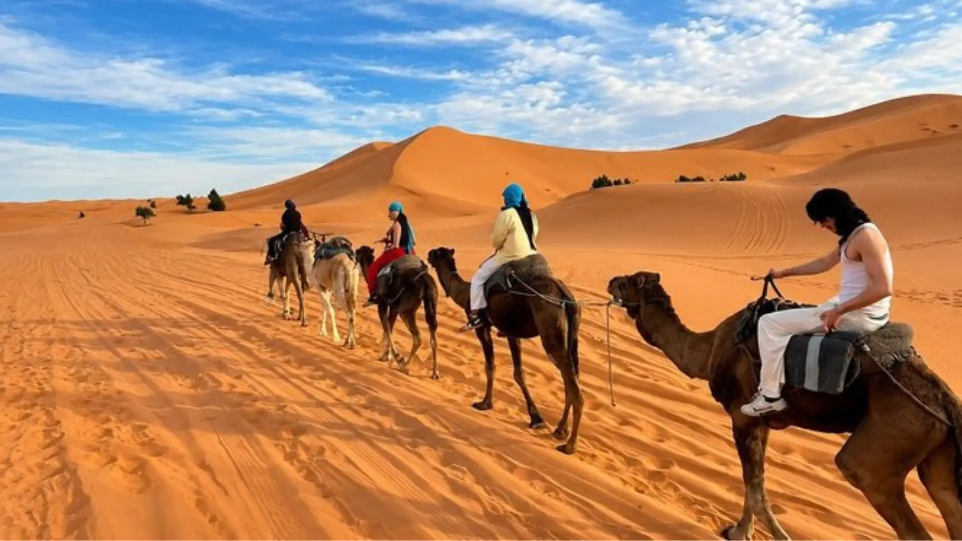 Camel caravan crossing the Erg Chebbi dunes