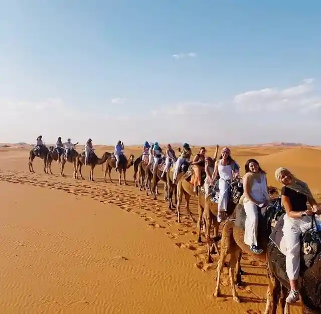 Students tours to Morocco: students on a camel ride across the Erg Chebbi dunes in Merzouga